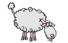 Mouton d'Ouessant... 684667